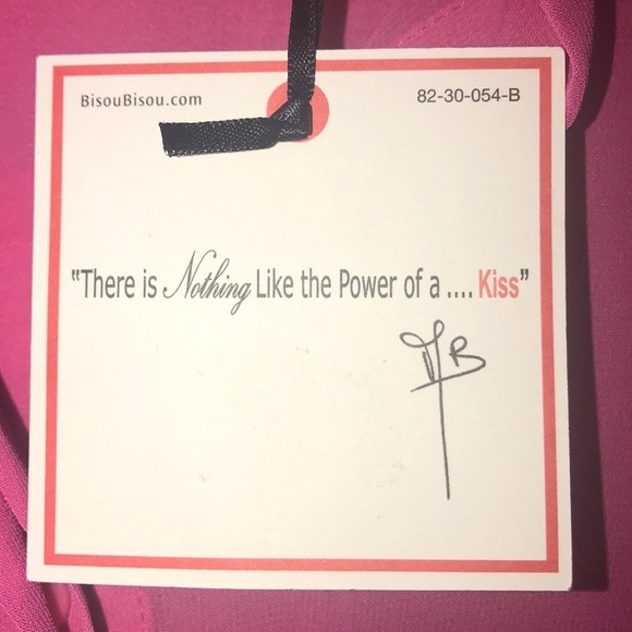 Bisou Bisou Sheer Pink Blouse S NWT - Picture 5 of 8